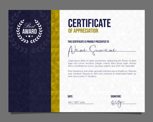 Professional certificate. Template diploma with luxury and modern pattern background. Achievement certificate.