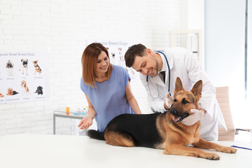 Woman with her dog visiting veterinarian in clinic