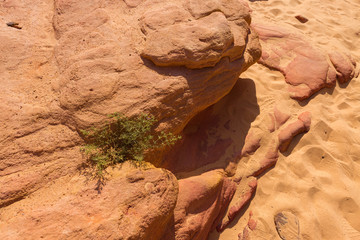 Coloured Canyon is a rock formation on South Sinai (Egypt) peninsula. Desert rocks of multicolored sandstone background.	
