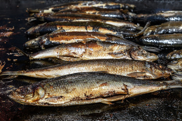 Mackerel fish prepared on hot hood a street food festival, cooked and ready to eat