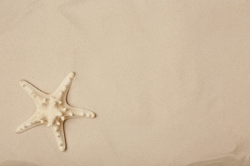 Fototapeta na wymiar Starfish on beach sand, top view with space for text