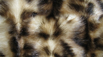 Animal fur texture. Fur background. Macro.