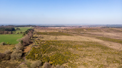 Aerial view of the New Forest National Park with heathland, trees and green field under a majestic blue sky.