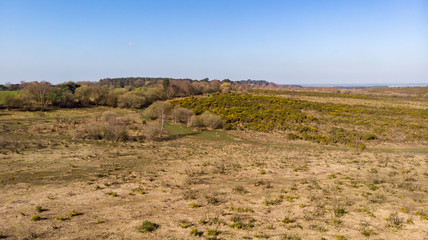 Aerial view of the New Forest National Park with heathland and forest under a majestic blue sky.