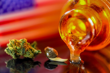Medical Seeds and Oil  Cannanis - Germinating Seeds with Oil Cannabis CBD THC on the mirroring black background with American Flag, macro view.