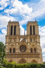 Fototapeta na wymiar Cathedral of Notre Dame de Paris, France