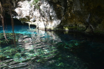 Gran Cenote Tulum Quintana Roo Mexique - Mexico