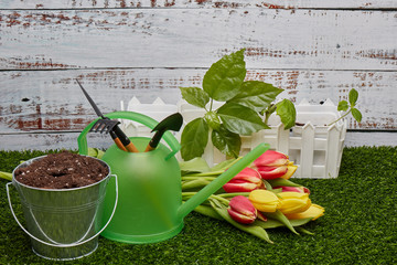 Gardening tools, sprouts and flowers.