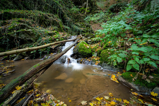 Ein Bach fließt durch einen herbstlichen Wald