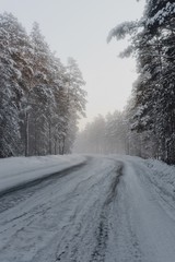 Obraz premium winter