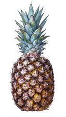 Slodki ananas idealny na szczupla sylwetke, dodatek do salatek. - obrazy, fototapety, plakaty