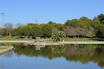 Fototapeta na wymiar ESTANQUE LLENO DE AGUA EN EL BOSQUE CON REFLEJO DE LOS ARBOLES SOBRE el lago, acuático, paisaje, cielo