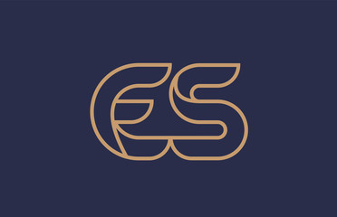 brown blue line alphabet letter ES E S logo combination company icon design