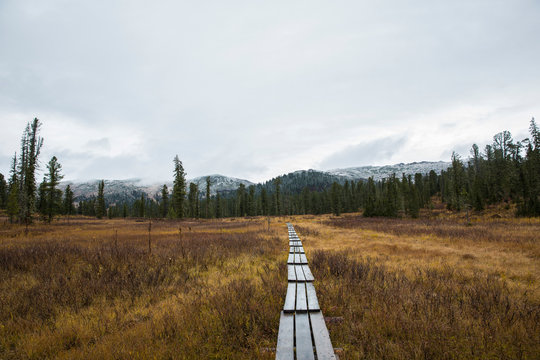 path to the unknown mountains of Ergaki National Park, Siberia