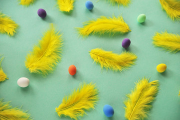 Little eggs and yellow feathers on mint color background.