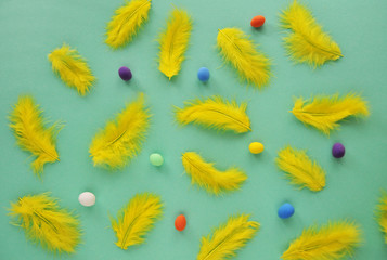 Fototapeta na wymiar Little eggs and yellow feathers on mint color background.