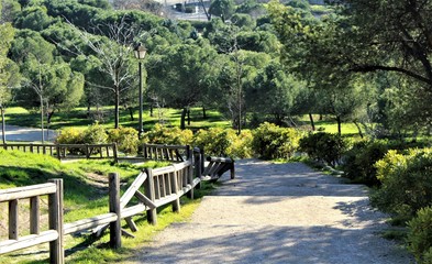 SENDERO VALLADO EN EL CAMPO, CAMINO VERDE, VALLA, VERDE, NATURALEZA, PARQUE, ÁRBOLES, SENDA,...