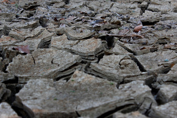 portrait of soil texture cracked in the dry season