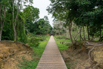 The wooden walkway leading to the Jayatataka site at Angkor Archeological Park