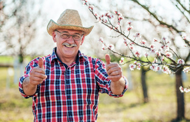 Orcharding. Happy senior man working in the orchard, enjoying in pensioner time. Hobbies and leisure, agricultural concept