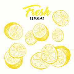 Fresh lemons vector illustration. Handwritten calligraphy, lettering. Sketch fruits clipart. Sliced lemons engraving style drawing. Isolated yellow citrus color design elements. Shop sign, store logo