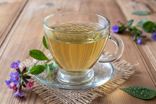 Herbal tea with fresh lungwort, or pulmonaria flowers