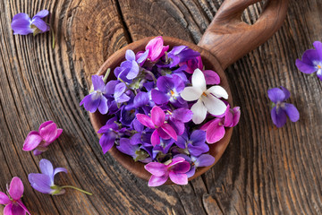 Obraz na płótnie Canvas Wood violet flowers on a spoon, top view
