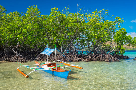 Small outrigger boat and mangrove trees on CYC Island