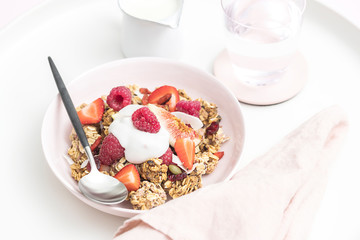 Gourmet Muesli Granola with Ingredients
