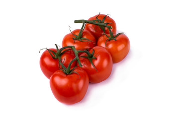 red tomatoes on a twig isolated on white background