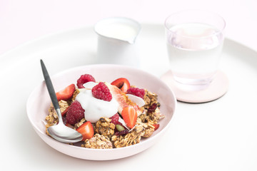 Gourmet Muesli Granola with Ingredients