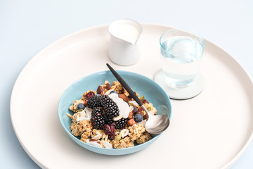 Gourmet Muesli Granola with Ingredients