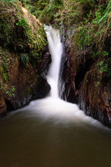 Fototapeta na wymiar little waterfall in forest