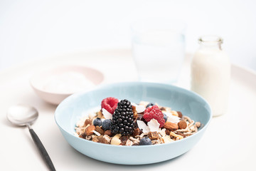 Gourmet Muesli Granola with Ingredients