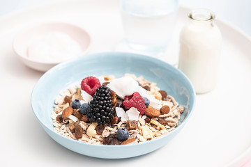 Gourmet Muesli Granola with Ingredients