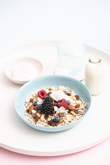 Gourmet Muesli Granola with Ingredients
