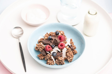 Gourmet Muesli Granola with Ingredients