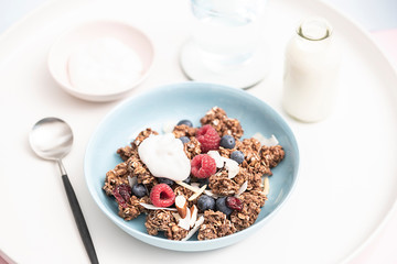 Gourmet Muesli Granola with Ingredients