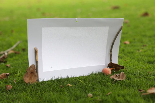 Photo frame standing on the grass with fruit and fig leaf scattering