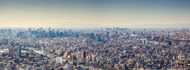 Aerial view panorama of Tokyo, Japan