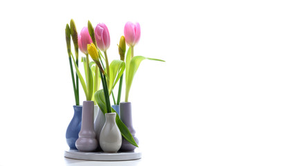 Osterglocken und Tulpen