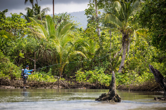 Angler Jonathan Jones casts while fly fishing in Samoa, at a location where a freshwater stream meets the sea in the jungle.