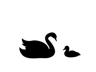 Swan chick bird black silhouette animal. Vector Illustrator.