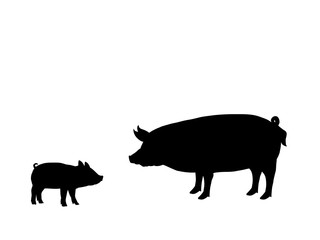 Pig piggie farm mammal black silhouette animal. Vector Illustrator.	
