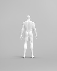 Human Man Body 3D Rendering