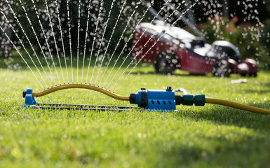 Grass sprayer with mower in garden