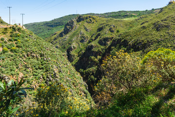 Topolia Gorge at west Crete with rich and wild vegetation. Greece