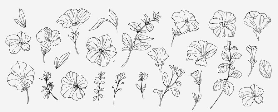 Sketch tropical flowers and leaves. Vector illustration