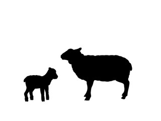 Sheep lamb farm mammal black silhouette animal. Vector Illustrator.