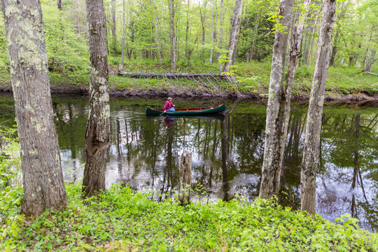 A man canoeing in spring on the Lamprey River in Epping, New Hampshire.